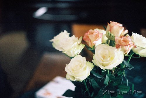 选择最淡的心事，诠释坎坷的人生 (4)