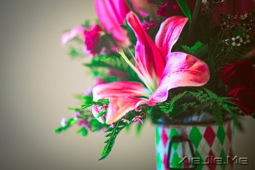 默然相爱，寂静喜欢 (2)
