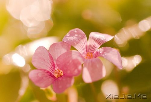 你只有读懂了生命之重，才能看淡时光之轻 (2)