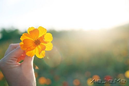 你只有读懂了生命之重，才能看淡时光之轻 (3)