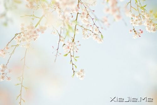 你只有读懂了生命之重，才能看淡时光之轻 (5)