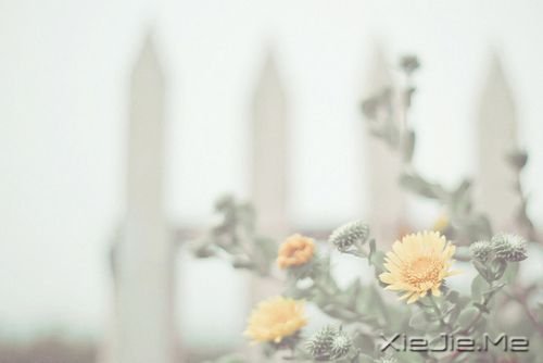 你只有读懂了生命之重，才能看淡时光之轻 (6)