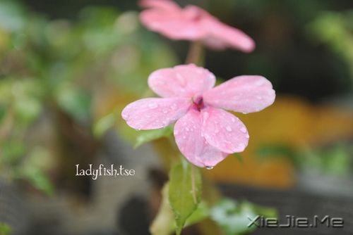 你只有读懂了生命之重，才能看淡时光之轻 (8)