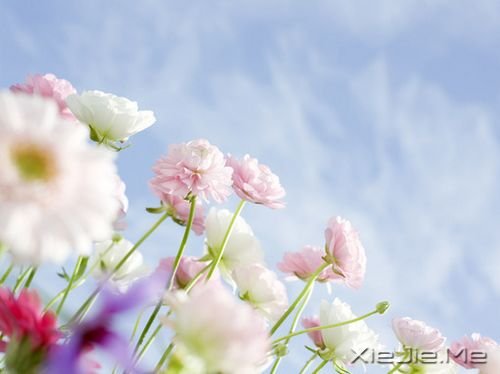 你只有读懂了生命之重，才能看淡时光之轻 (9)