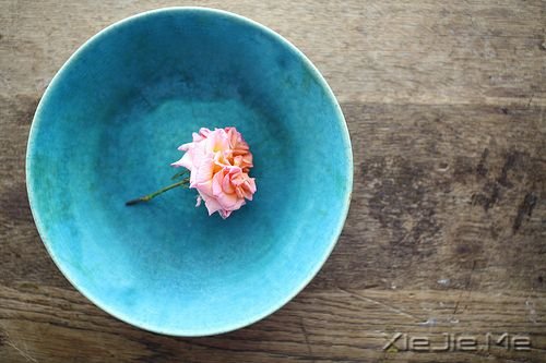 早安心语：面对未知，请用好奇替代恐惧 (1)