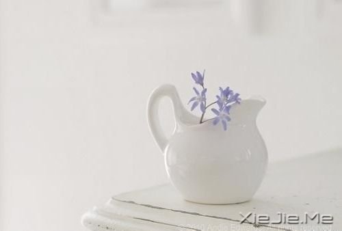 早安心语：面对未知，请用好奇替代恐惧 (7)