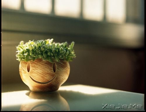 早安心语：像淑女一样处事，像爷们儿一样思考 (5)
