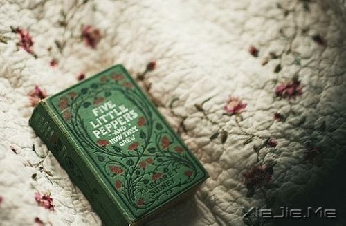 早安心语：像淑女一样处事，像爷们儿一样思考 (11)