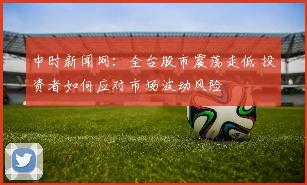中时新闻网：全台股市震荡走低 投资者如何应对市场波动风险