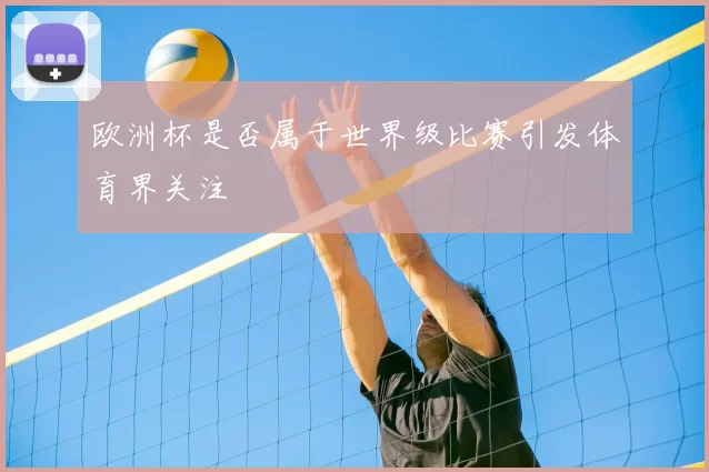 欧洲杯是否属于世界级比赛引发体育界关注