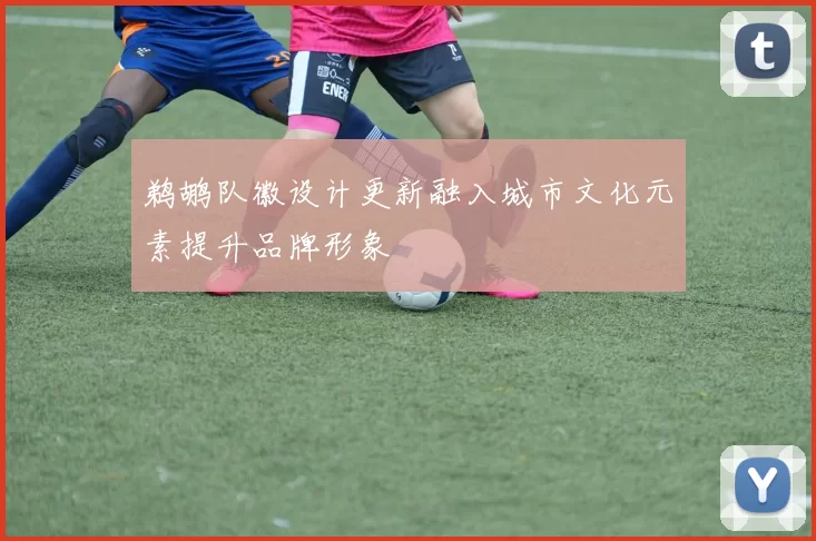 鹈鹕队徽设计更新融入城市文化元素提升品牌形象