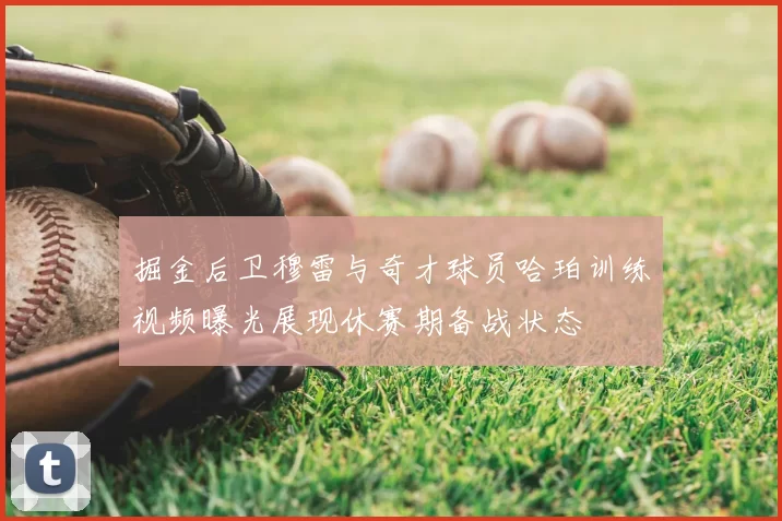 掘金后卫穆雷与奇才球员哈珀训练视频曝光展现休赛期备战状态