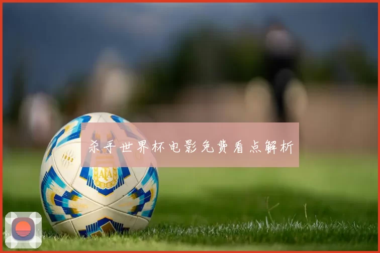 杀手世界杯电影免费看点解析