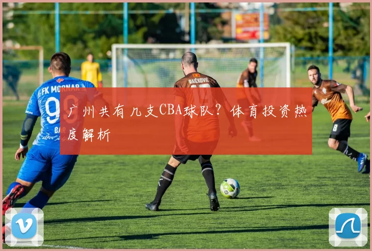 广州共有几支CBA球队？体育投资热度解析