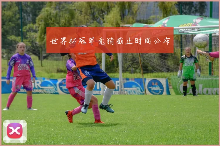 世界杯冠军竞猜截止时间公布