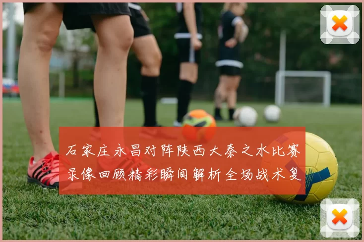 石家庄永昌对阵陕西大秦之水比赛录像回顾精彩瞬间解析全场战术复盘