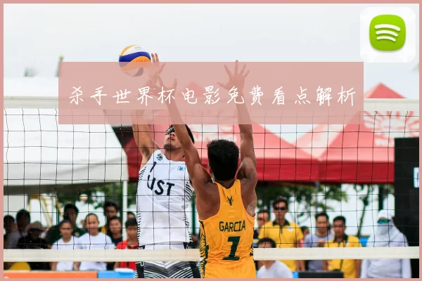 杀手世界杯电影免费看点解析