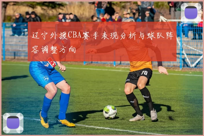辽宁外援CBA赛季表现分析与球队阵容调整方向