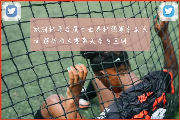 欧洲杯是否属于世界杯预赛引发关注 解析两大赛事关系与区别