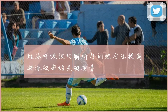 蛙泳呼吸技巧解析与训练方法提高游泳效率的关键要素