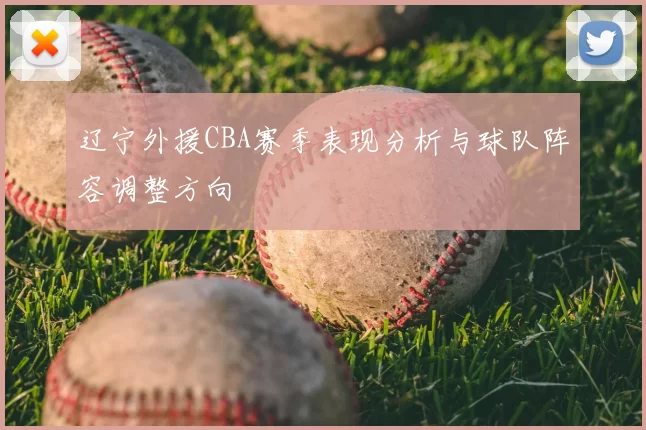 辽宁外援CBA赛季表现分析与球队阵容调整方向