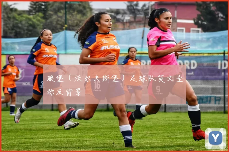 狼堡（沃尔夫斯堡）足球队英文全称及背景