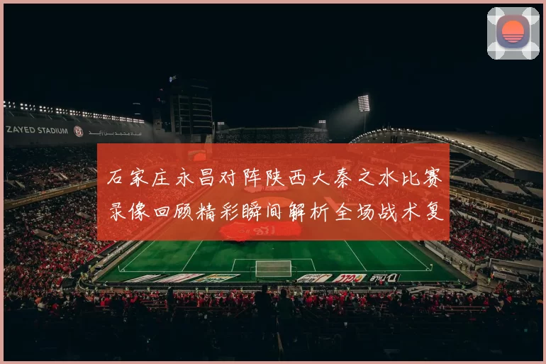 石家庄永昌对阵陕西大秦之水比赛录像回顾精彩瞬间解析全场战术复盘