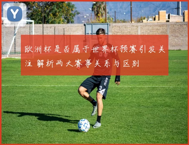欧洲杯是否属于世界杯预赛引发关注 解析两大赛事关系与区别